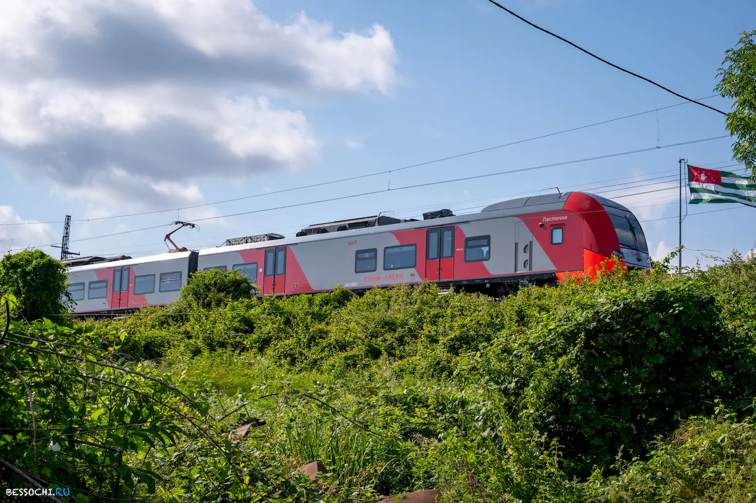 Ласточка Абхазия