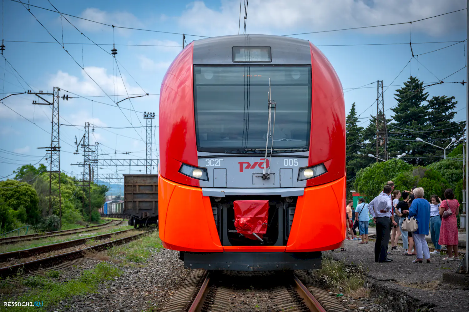 Ласточка Абхазия