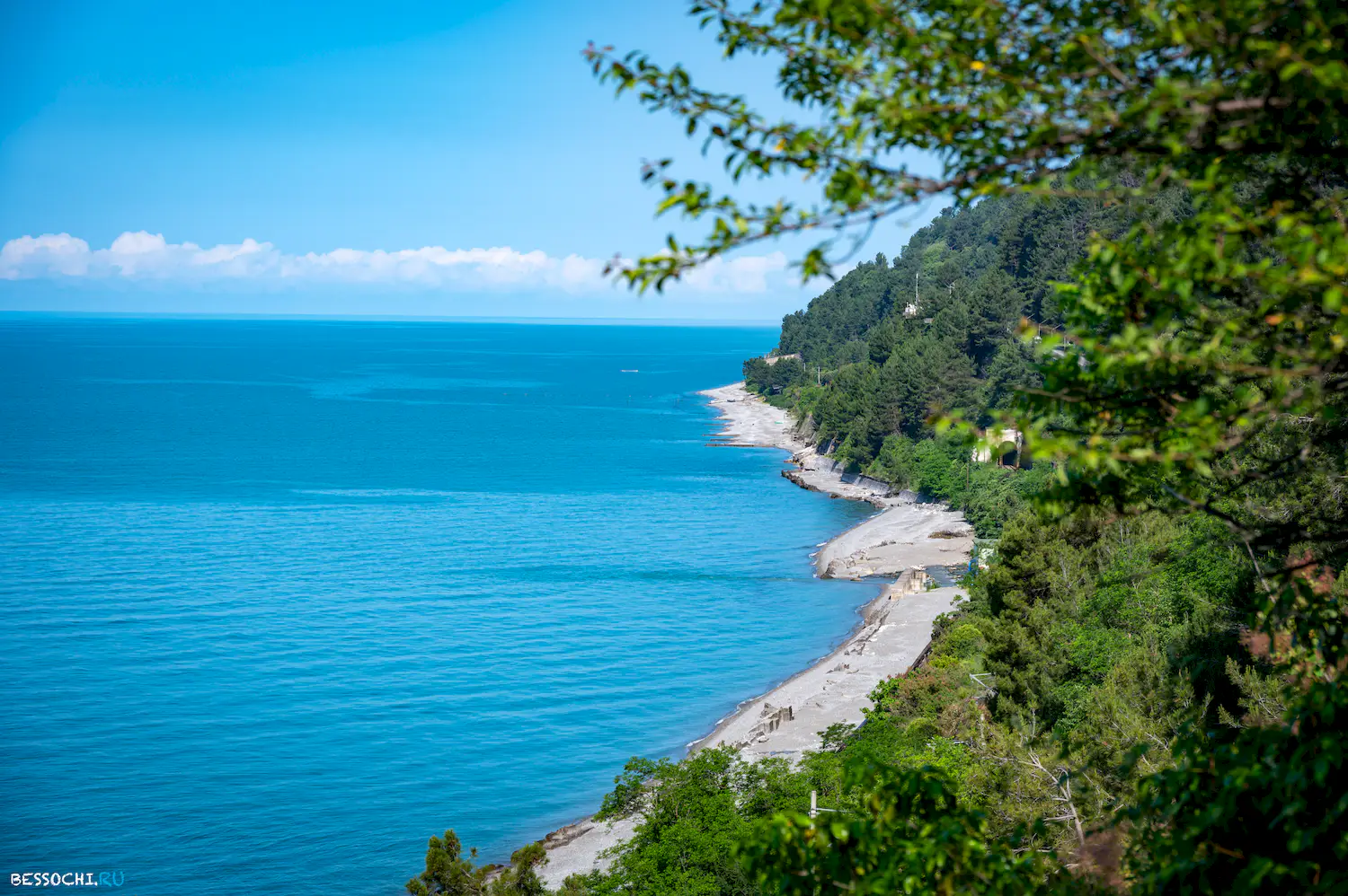 Ласточка Абхазия