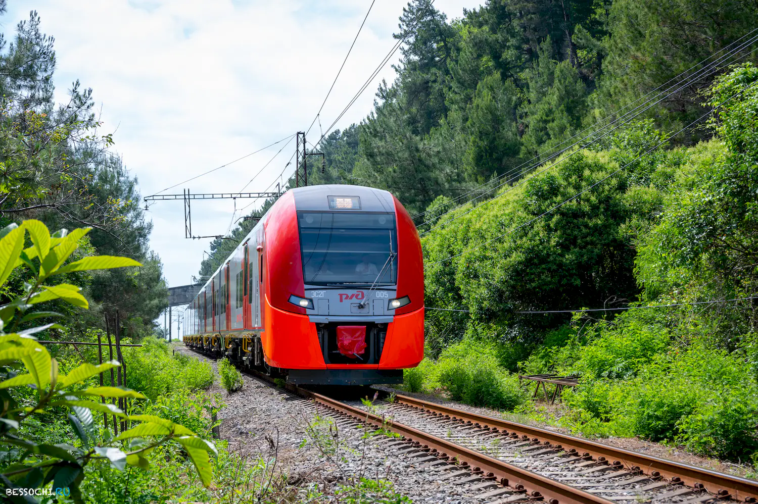 Ласточка Абхазия