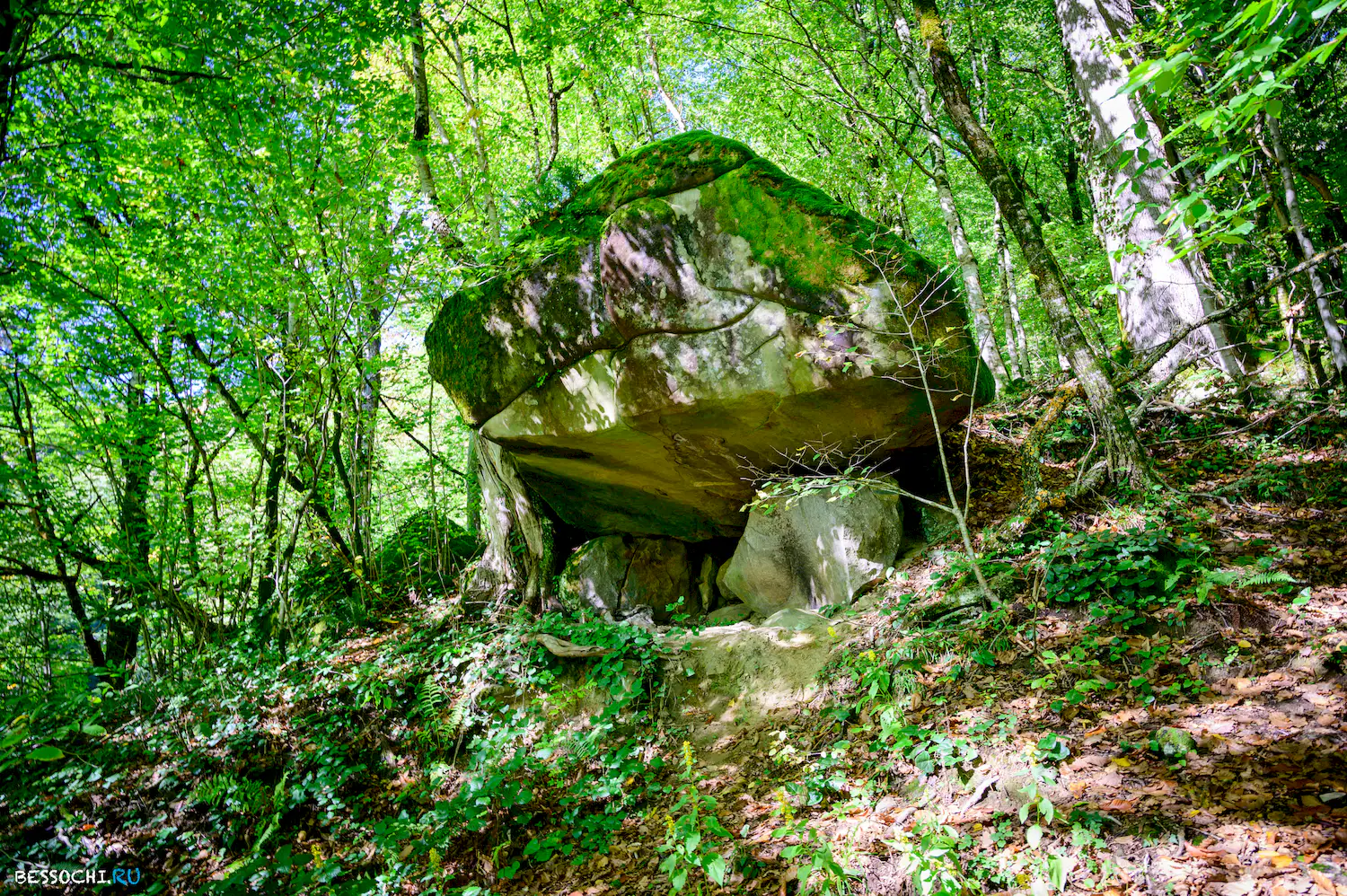 Дольмены Три дуба