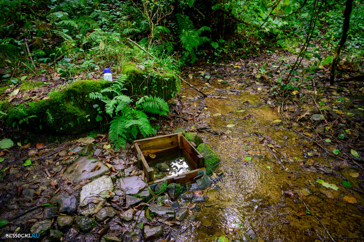 Дольмены Три дуба