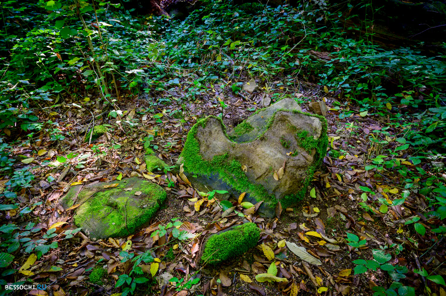 Дольмены Три дуба