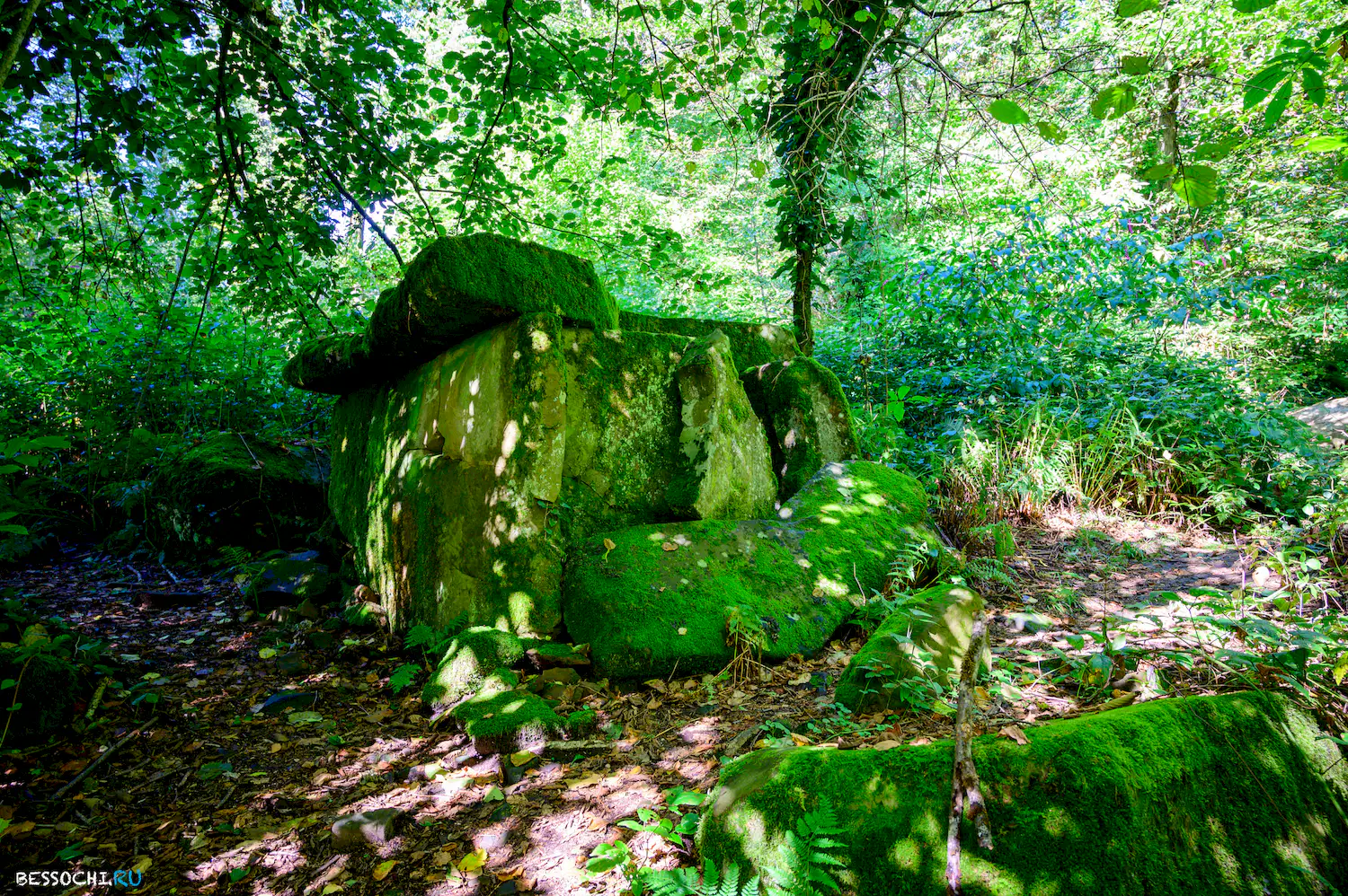 Дольмены Три дуба