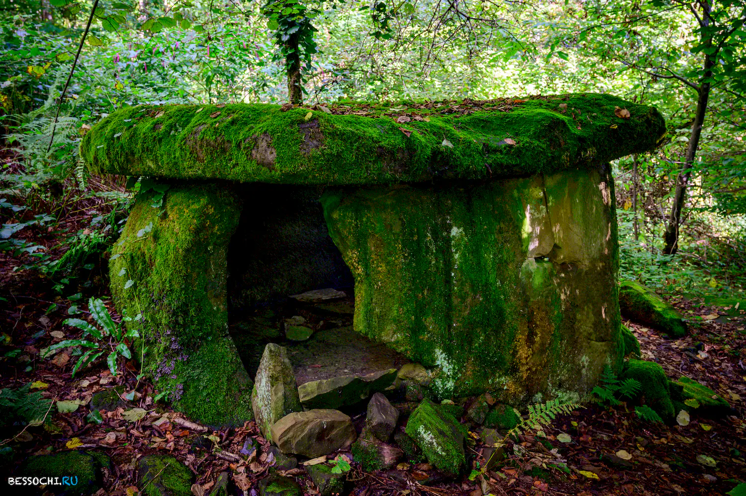 Дольмены Три дуба