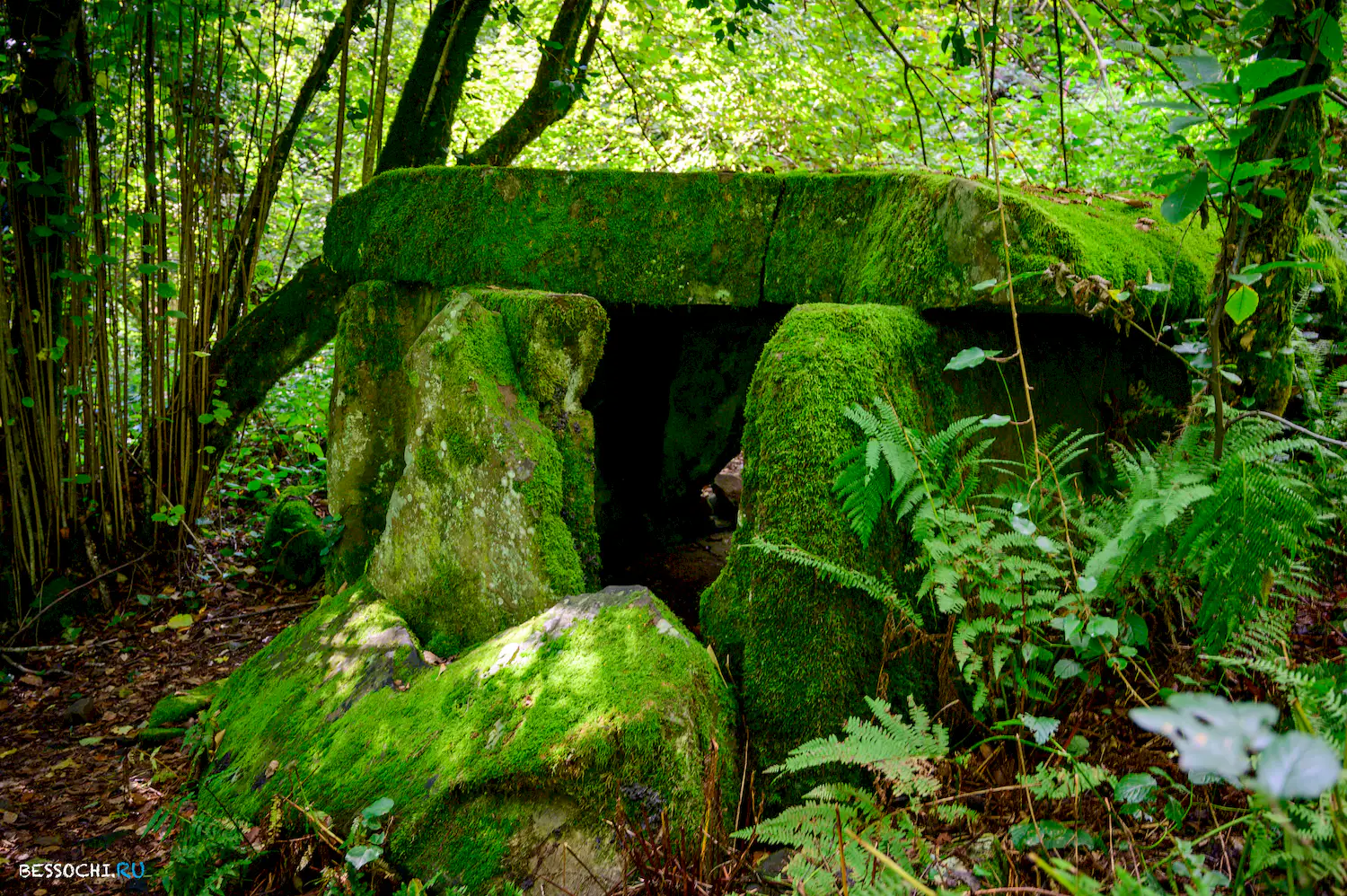 Дольмены Три дуба