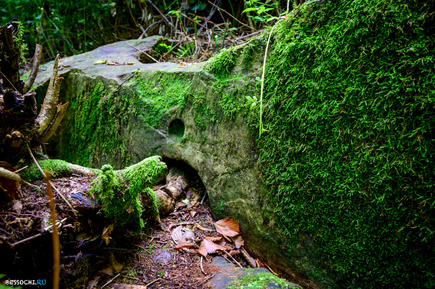 Дольмены Три дуба