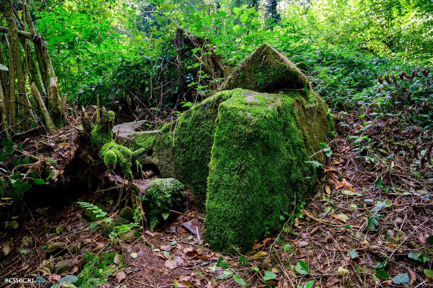 Дольмены Три дуба