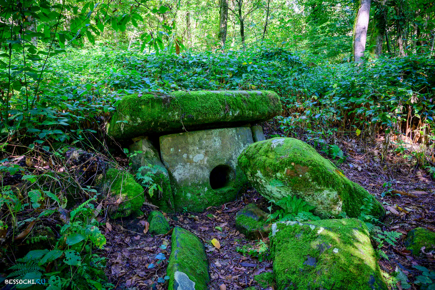 Дольмены Три дуба