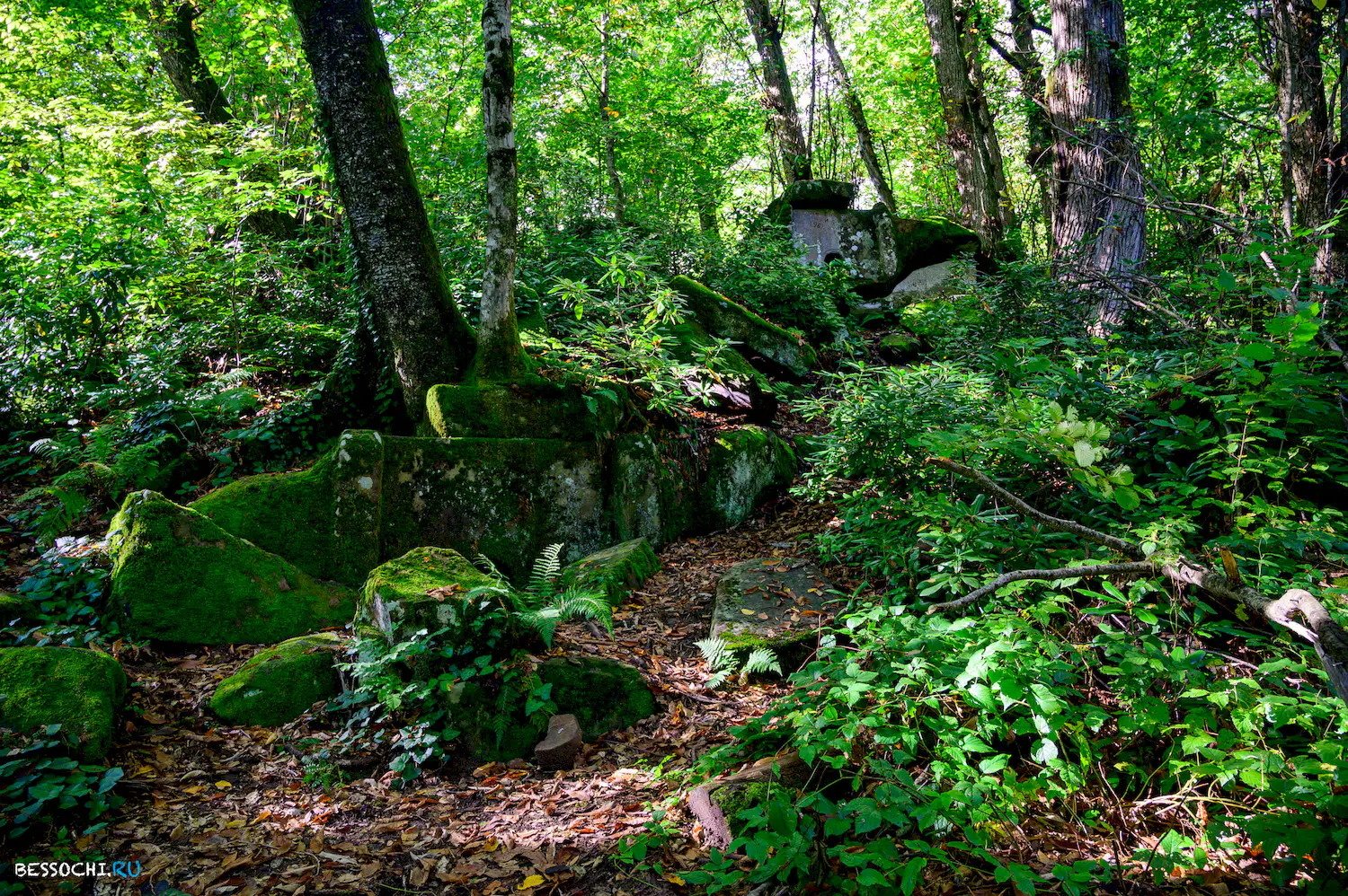 Дольмены Три дуба