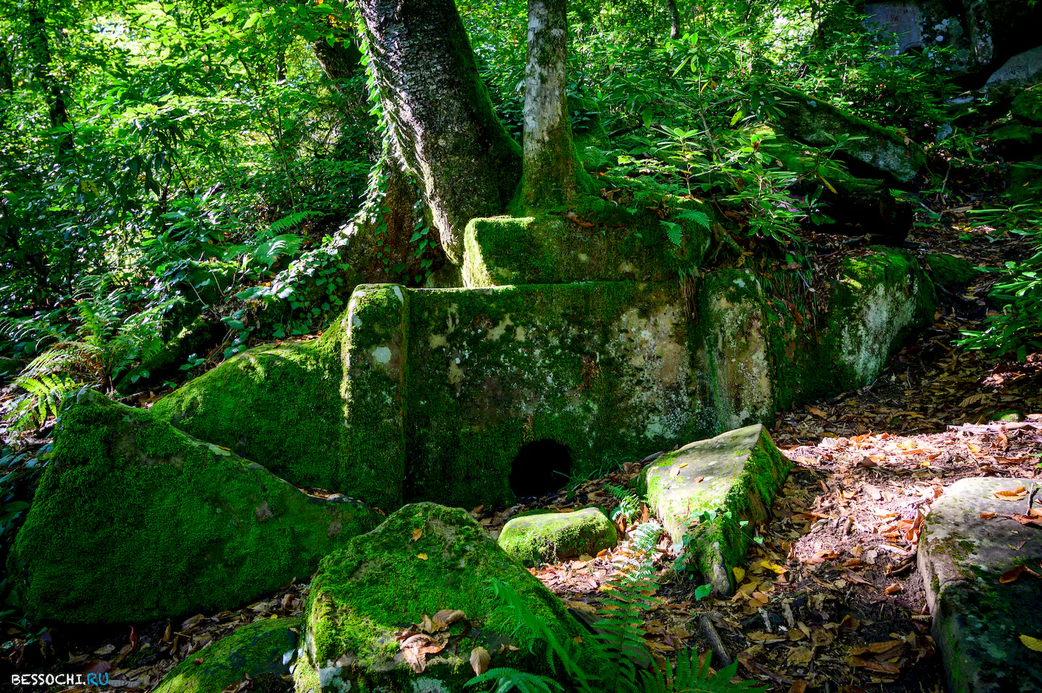 Дольмены Три дуба