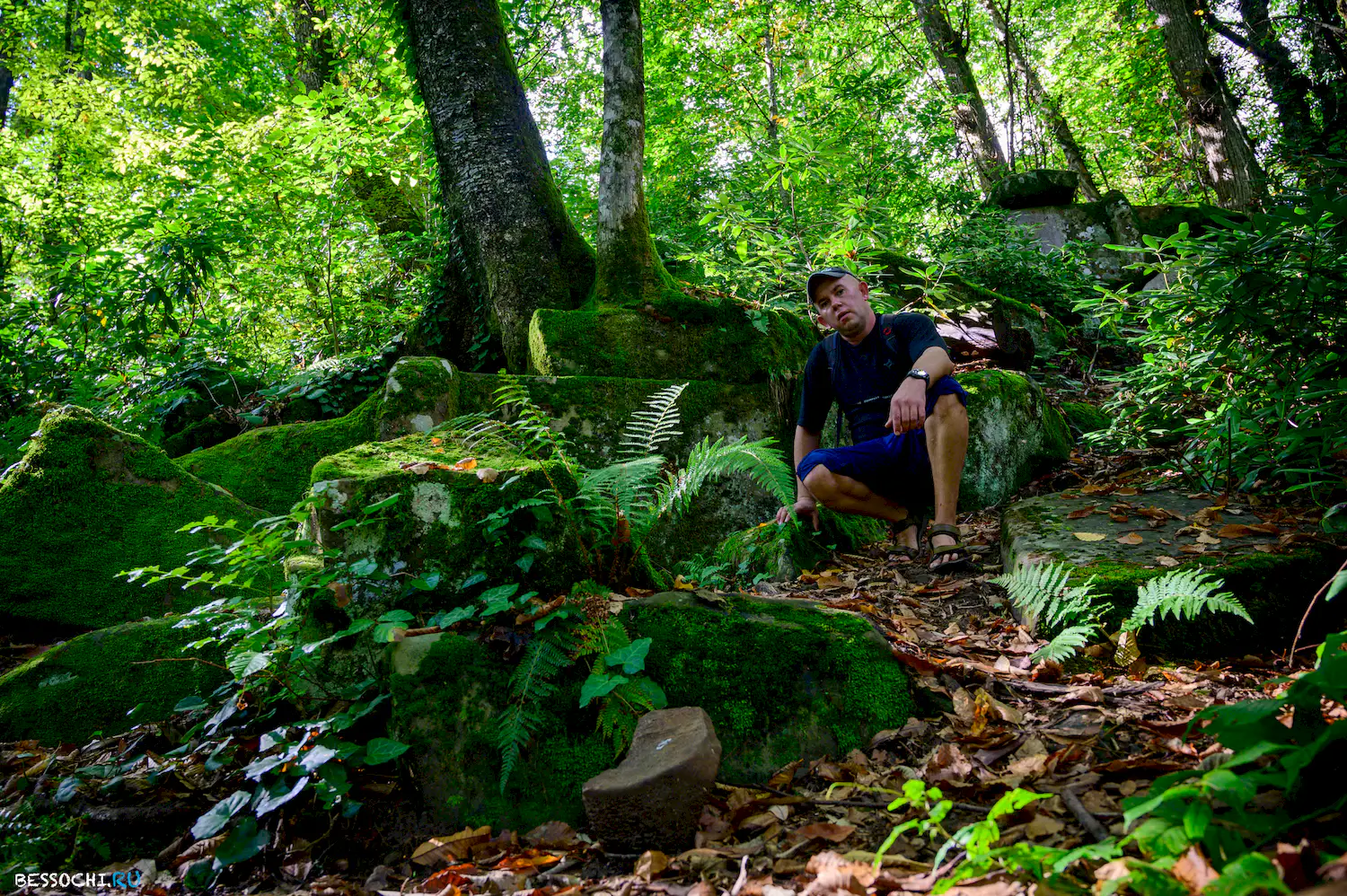 Дольмены Три дуба