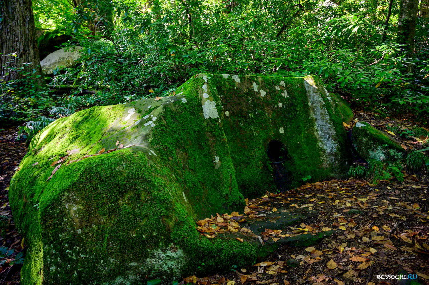 Дольмены Три дуба