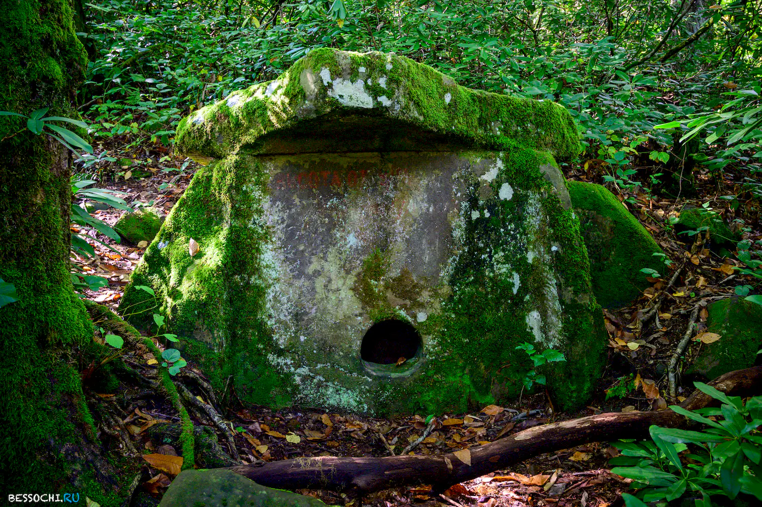 Дольмены Три дуба