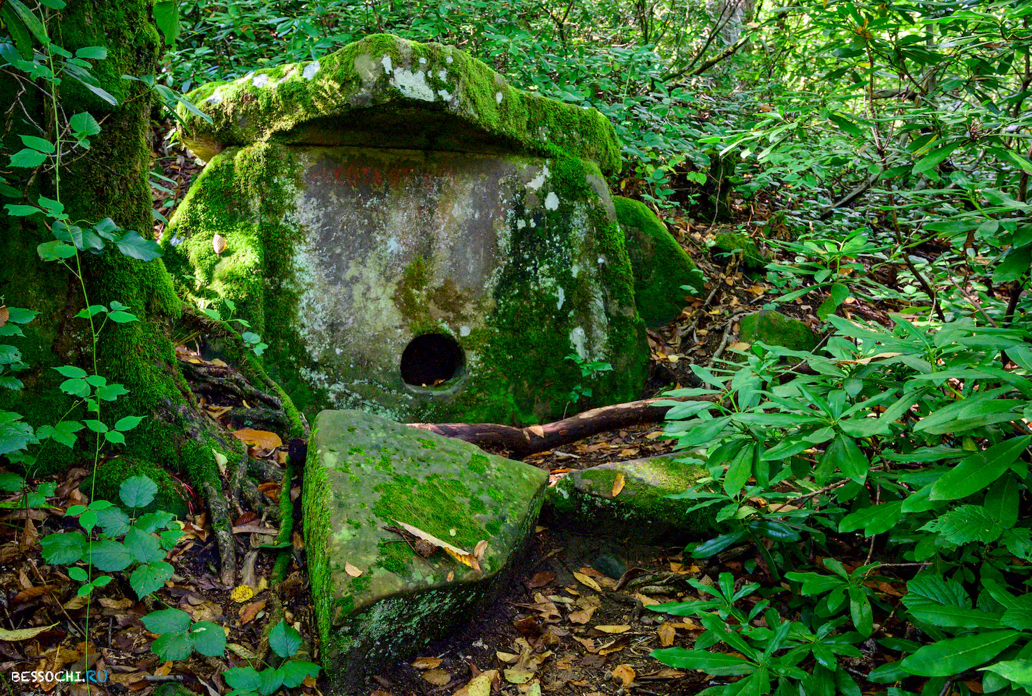 Дольмены Три дуба