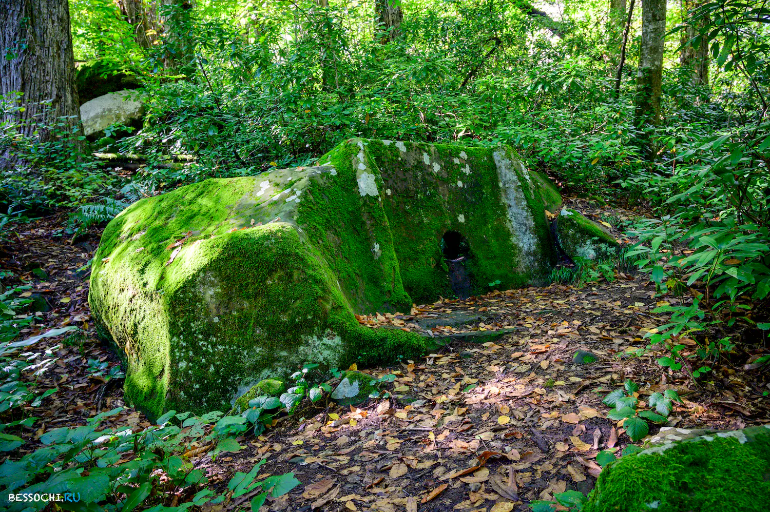 Дольмены Три дуба