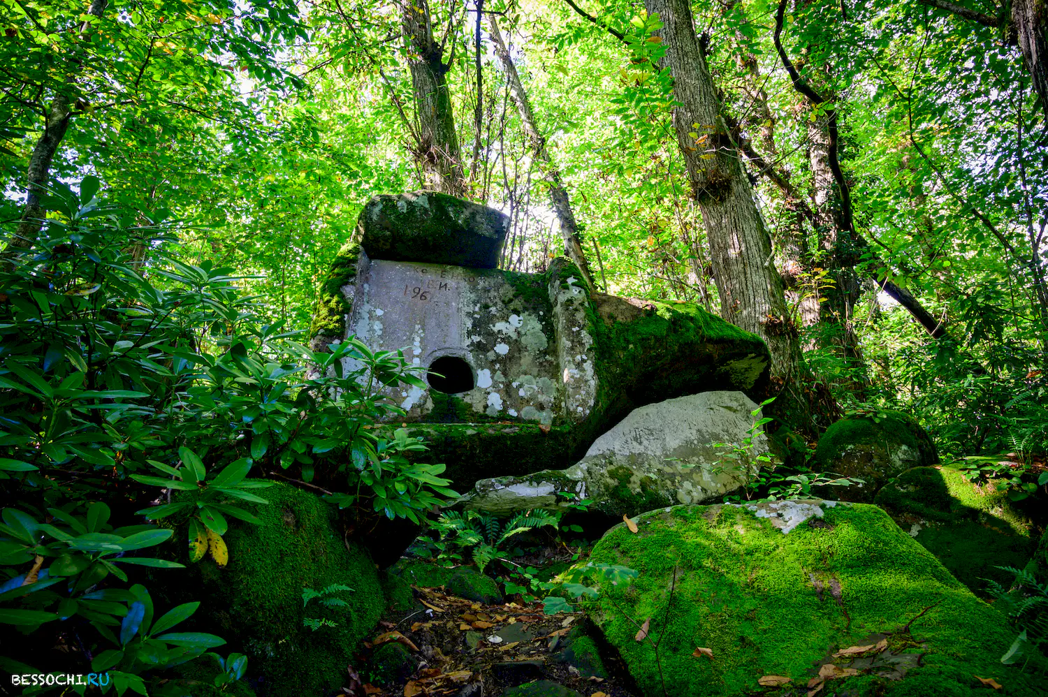 Дольмены Три дуба