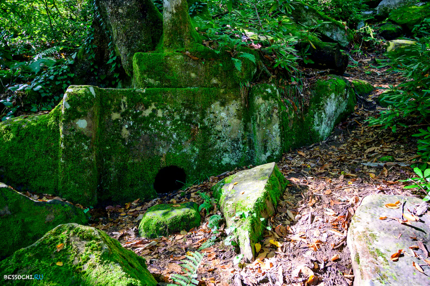 Дольмены Три дуба