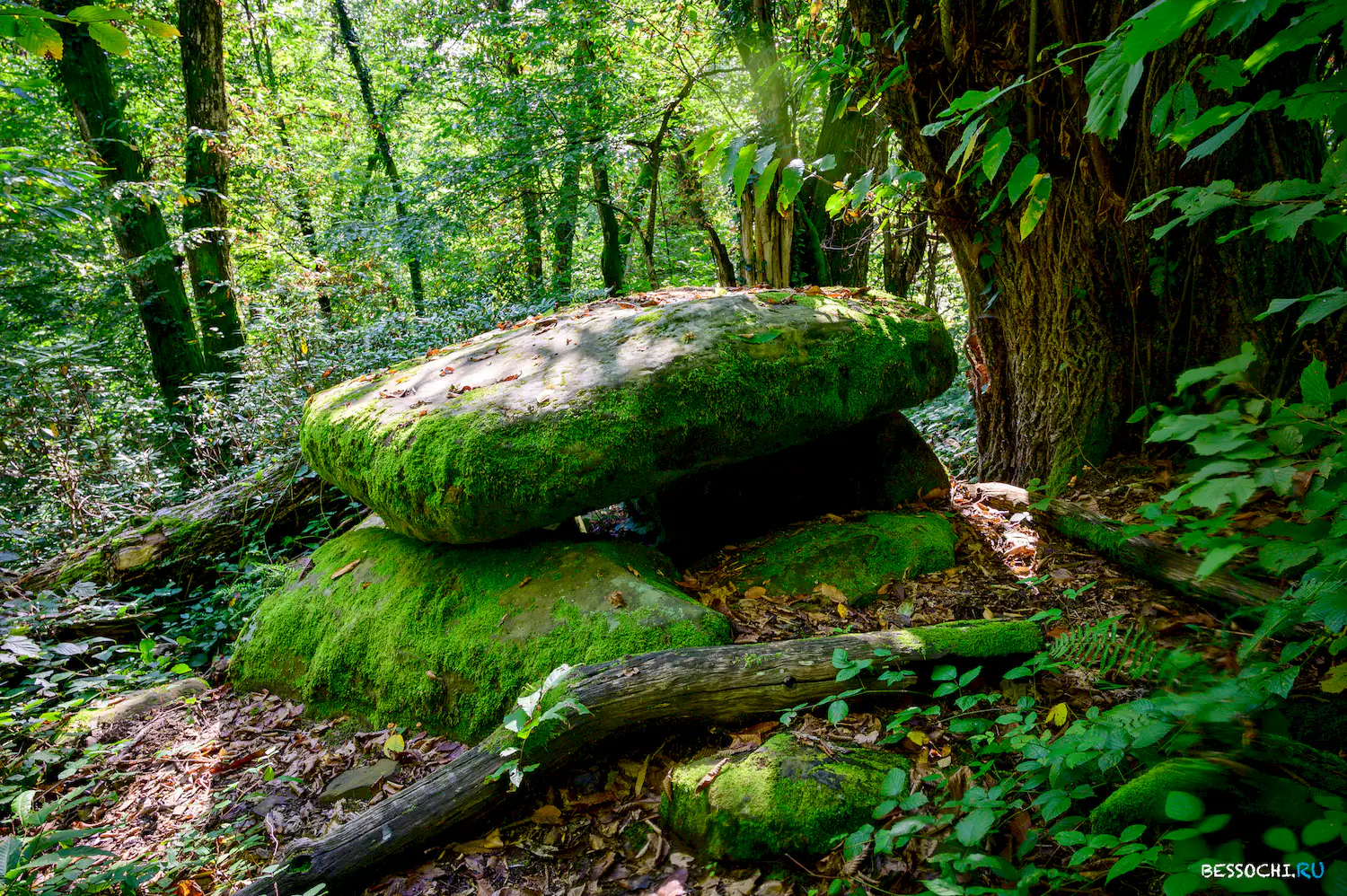 Дольмены Три дуба