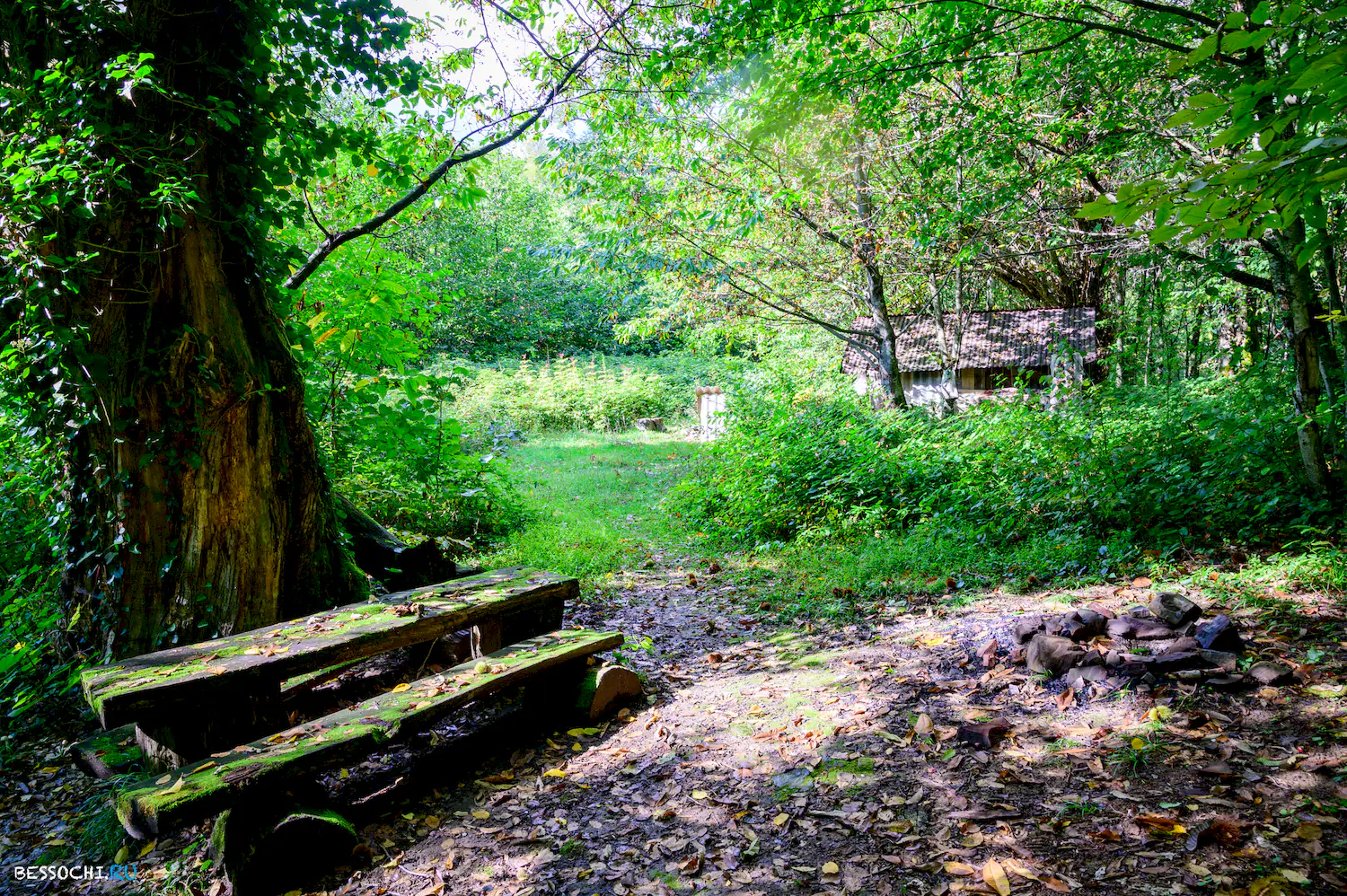 Дольмены Три дуба