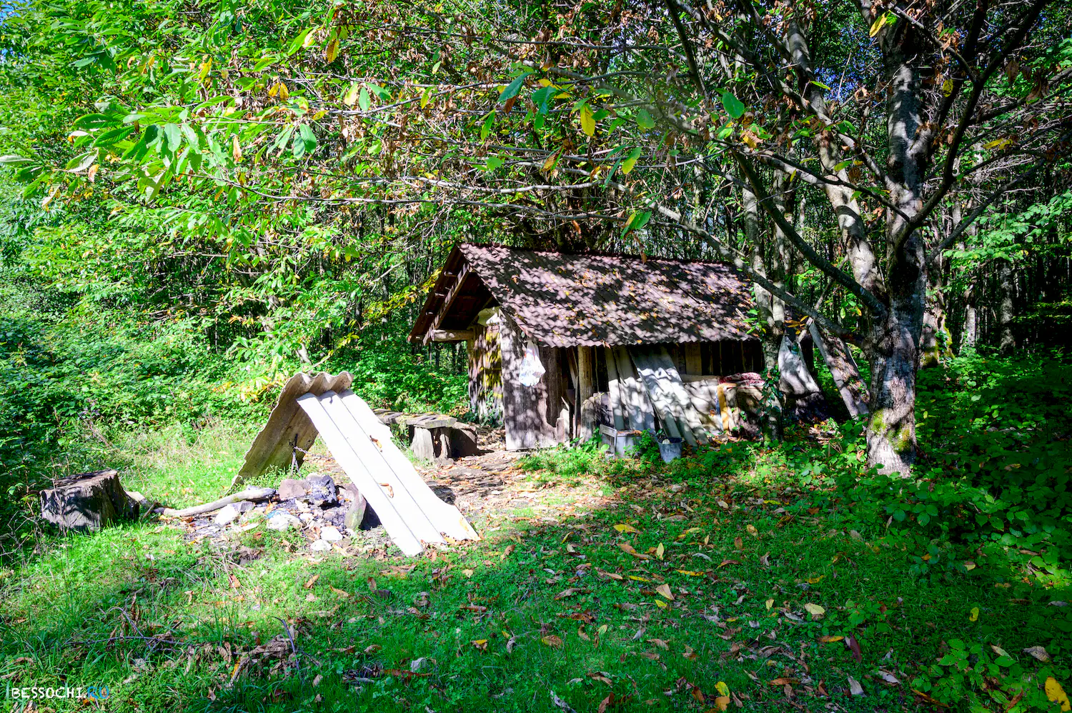 Дольмены Три дуба