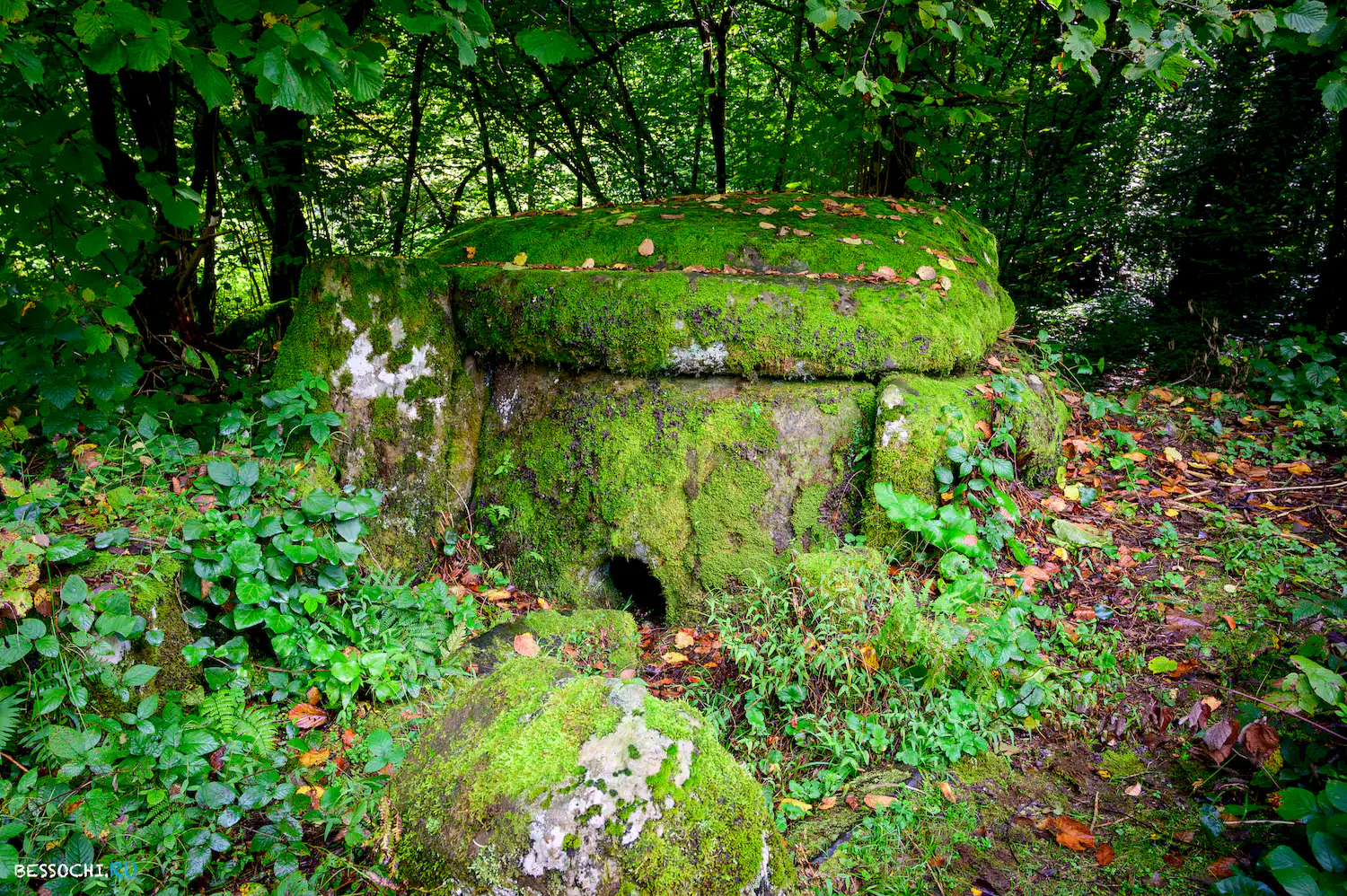 Дольмены Три дуба