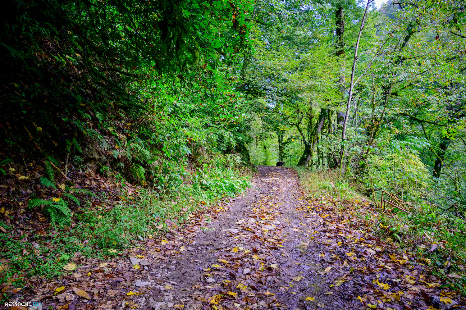 Водопады Фагуа