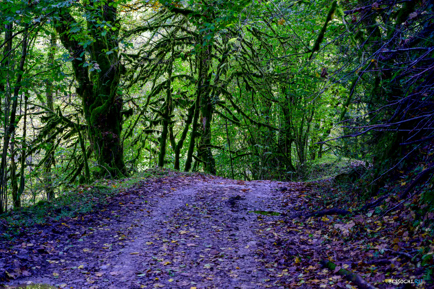 Водопады Фагуа