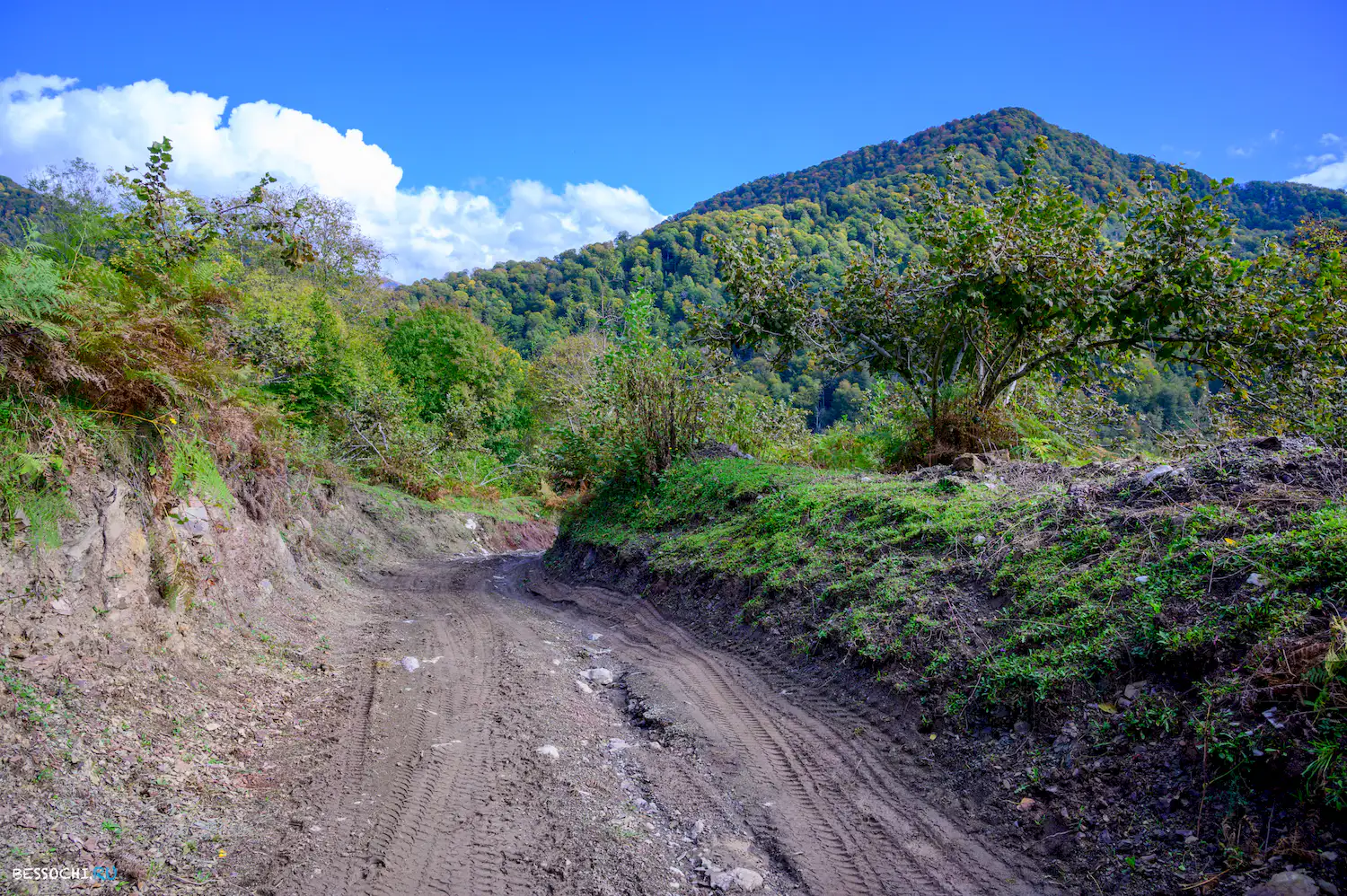 Вторая рота