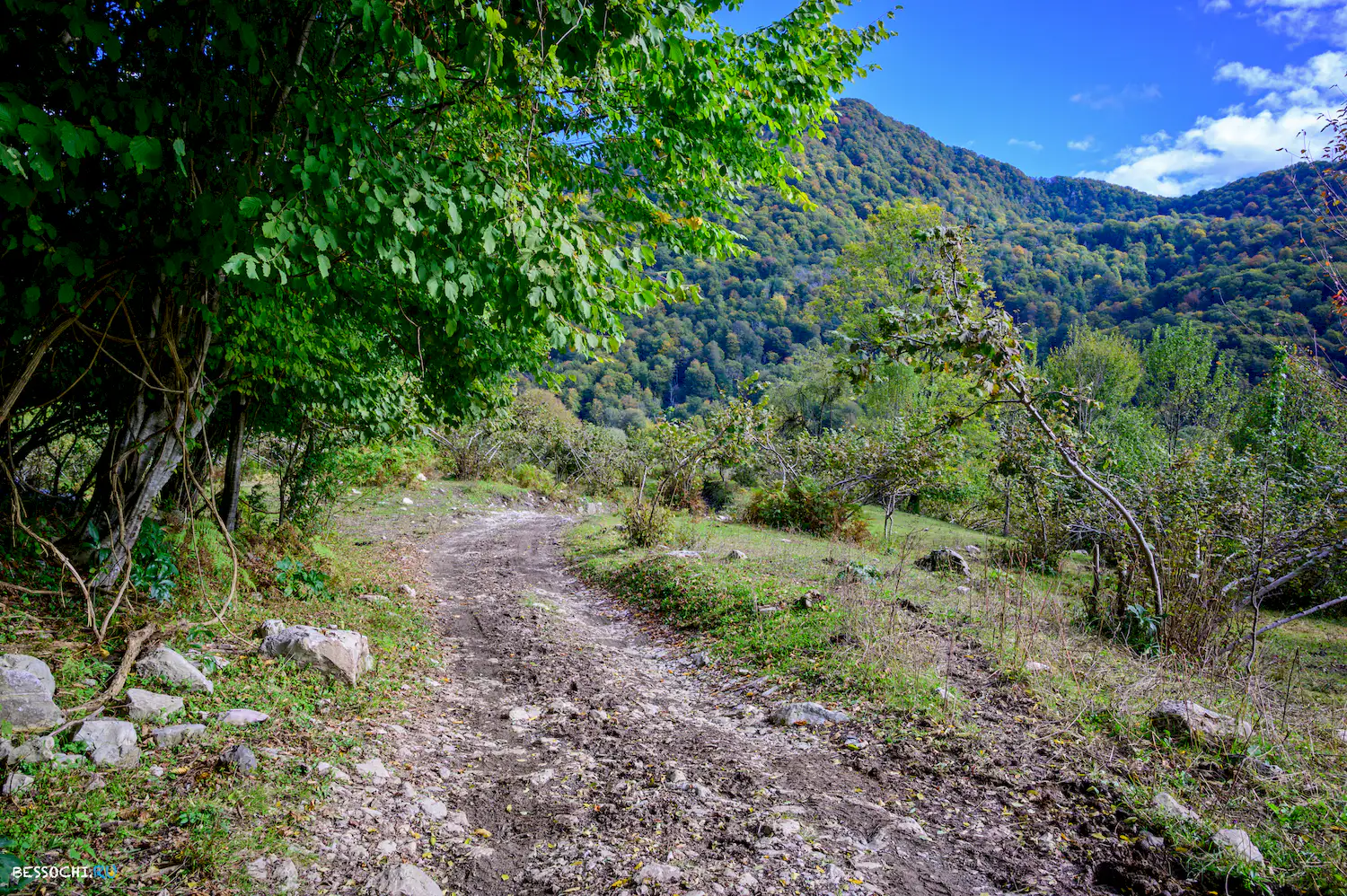 Вторая рота