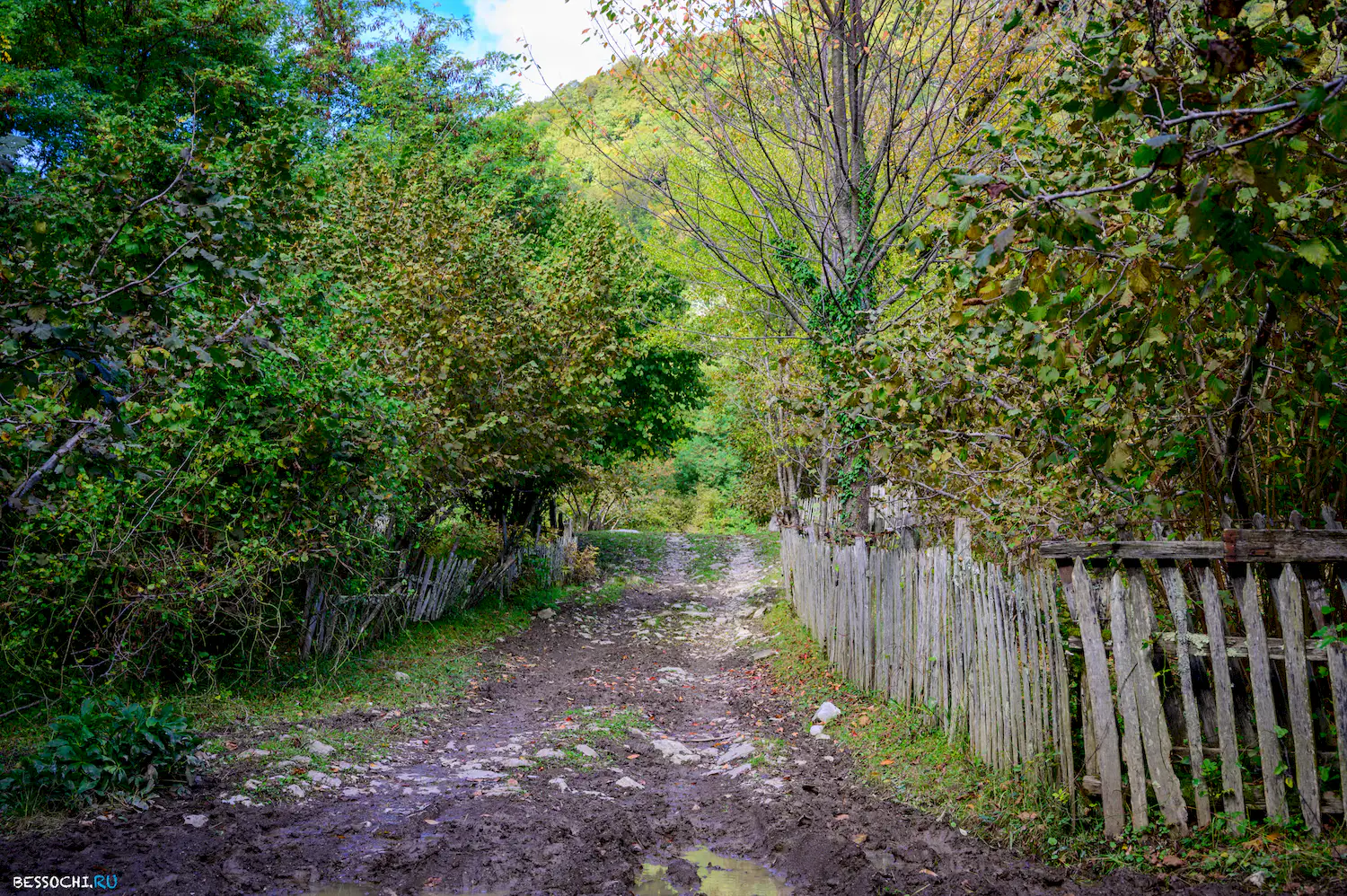 Вторая рота