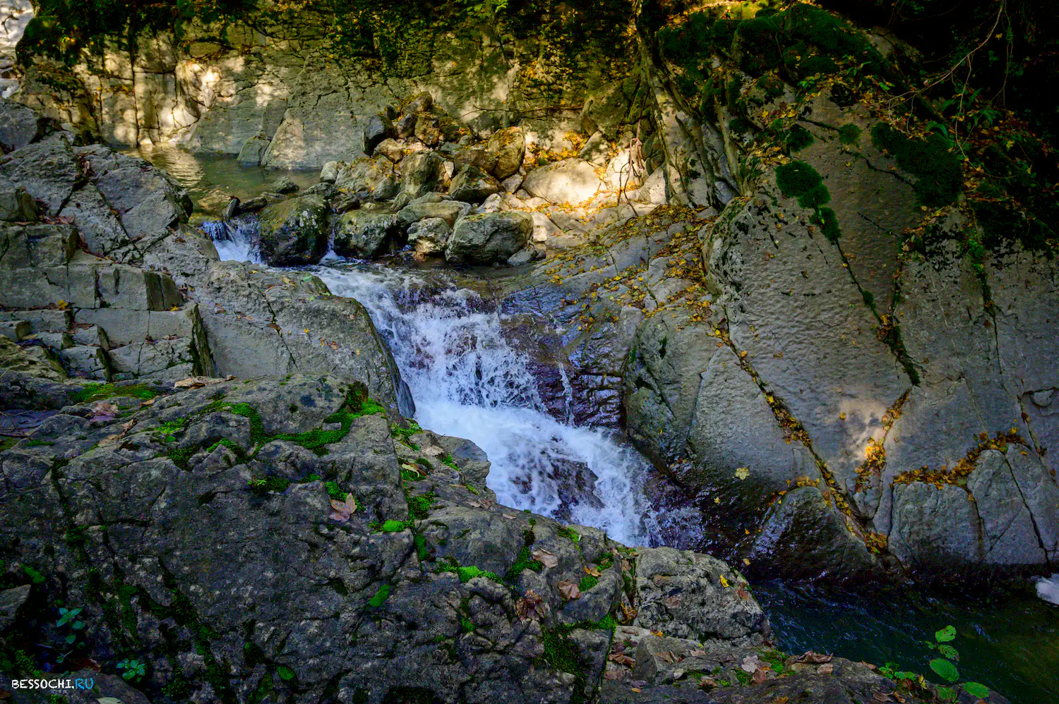 Вторая рота