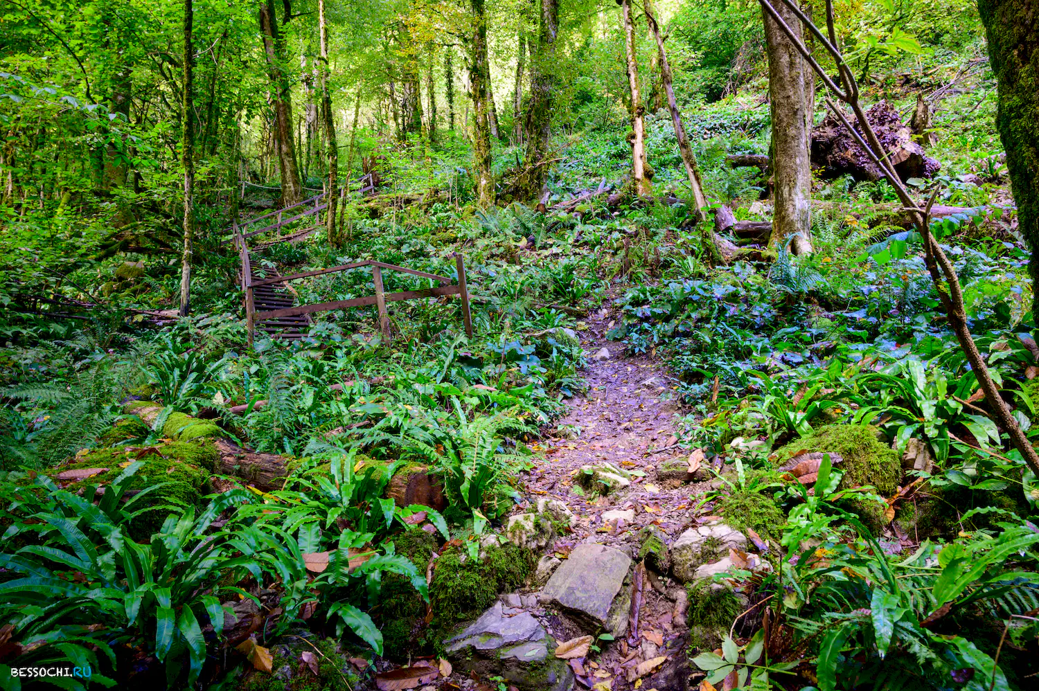 Водопады Фагуа