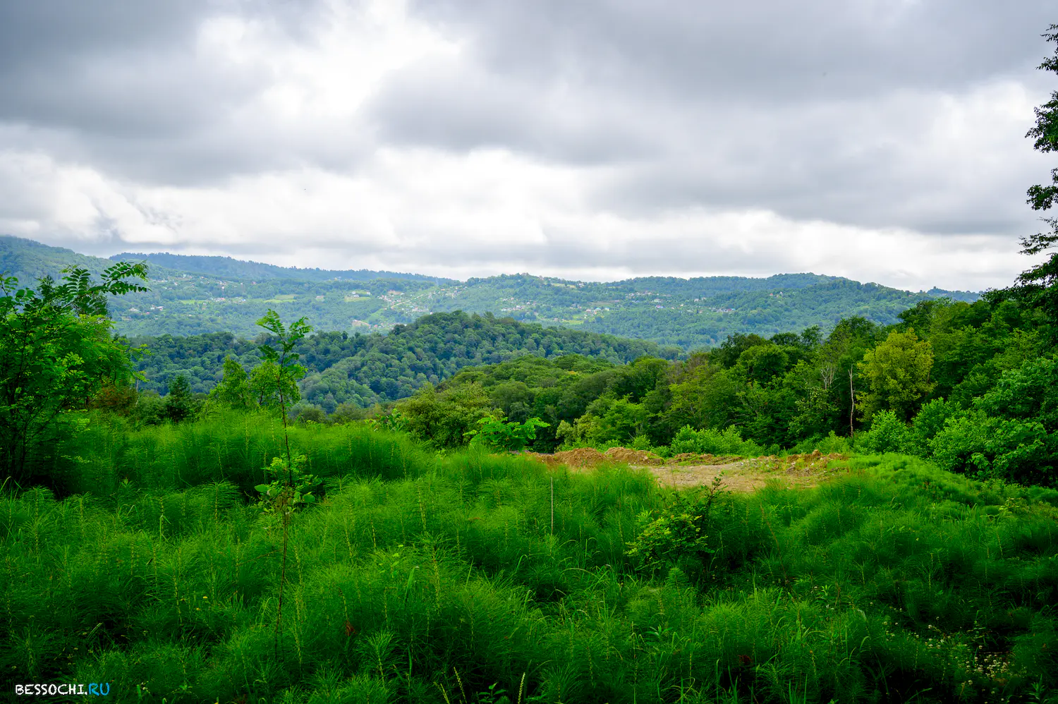 Каштаны храм