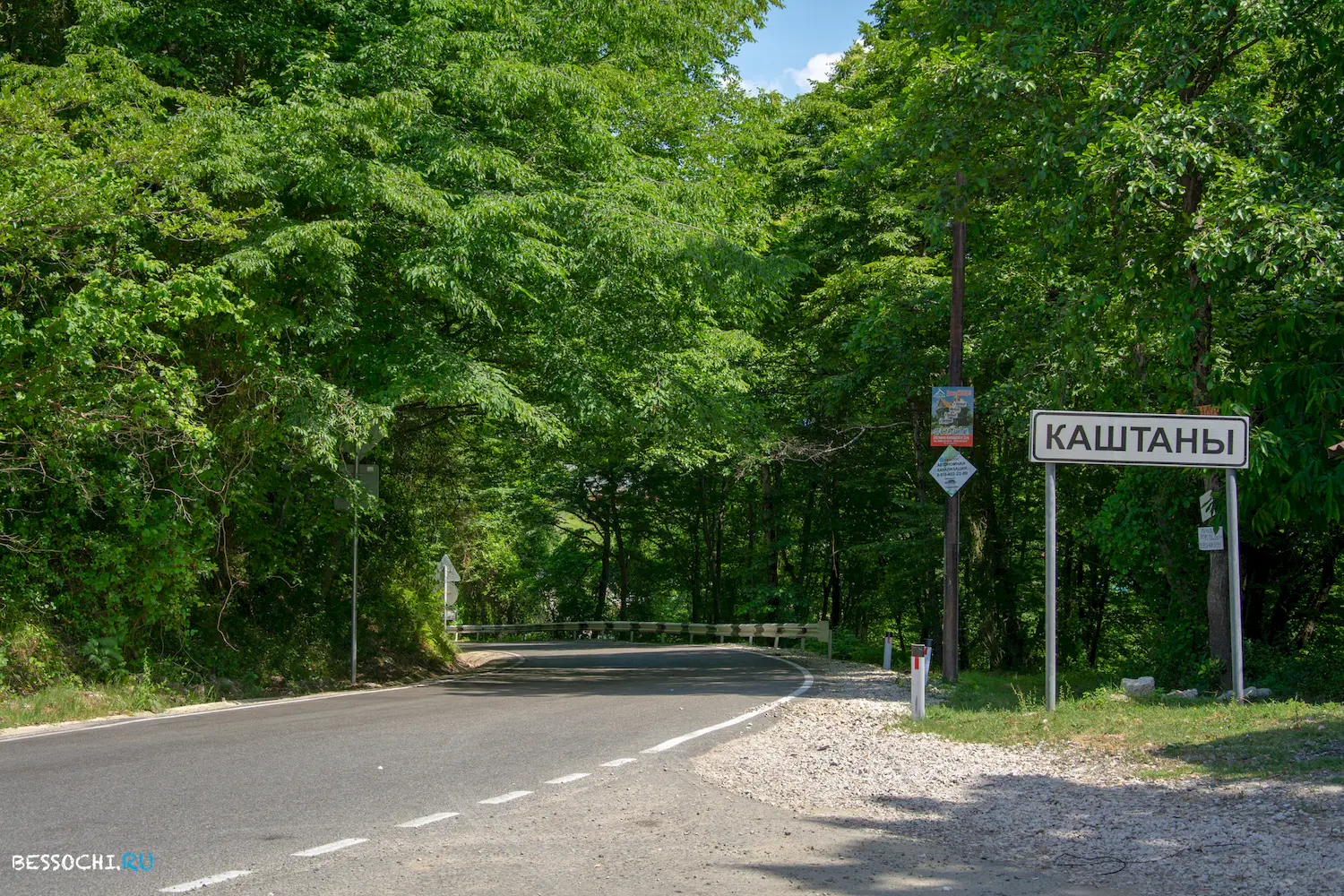 Каштаны храм