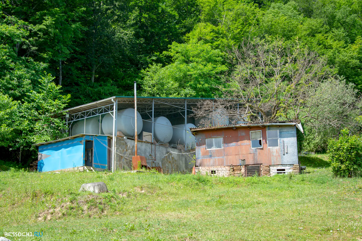 Каштаны храм