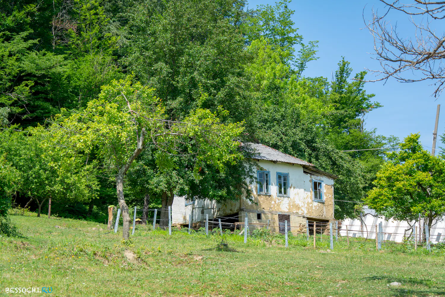 Каштаны храм