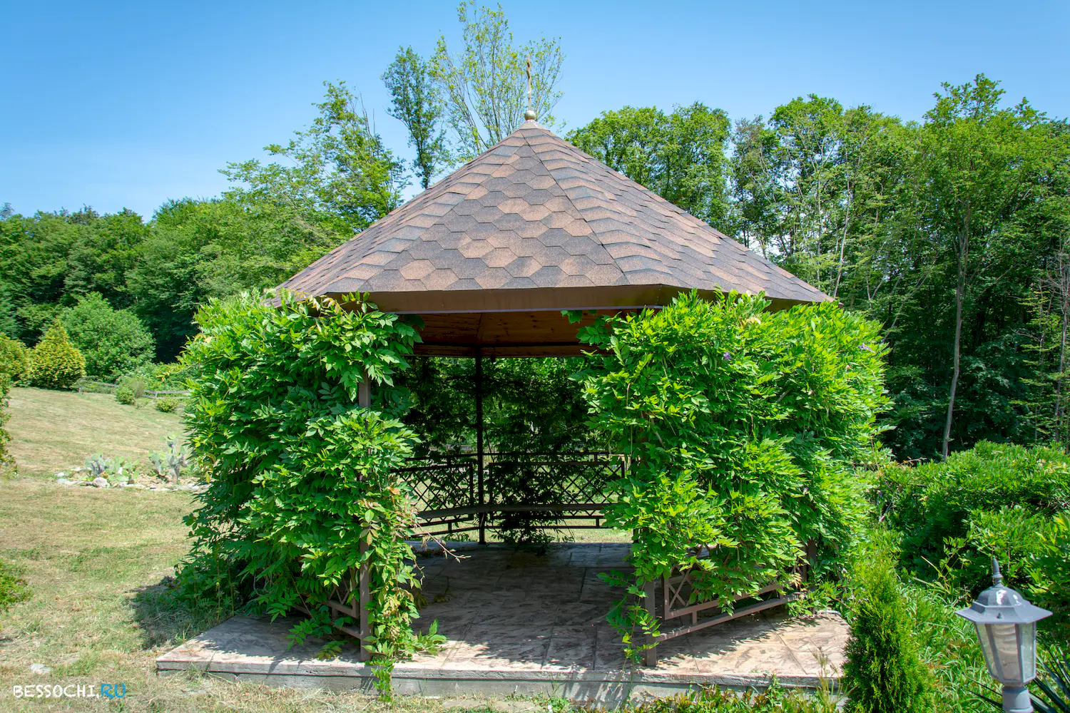 Каштаны храм