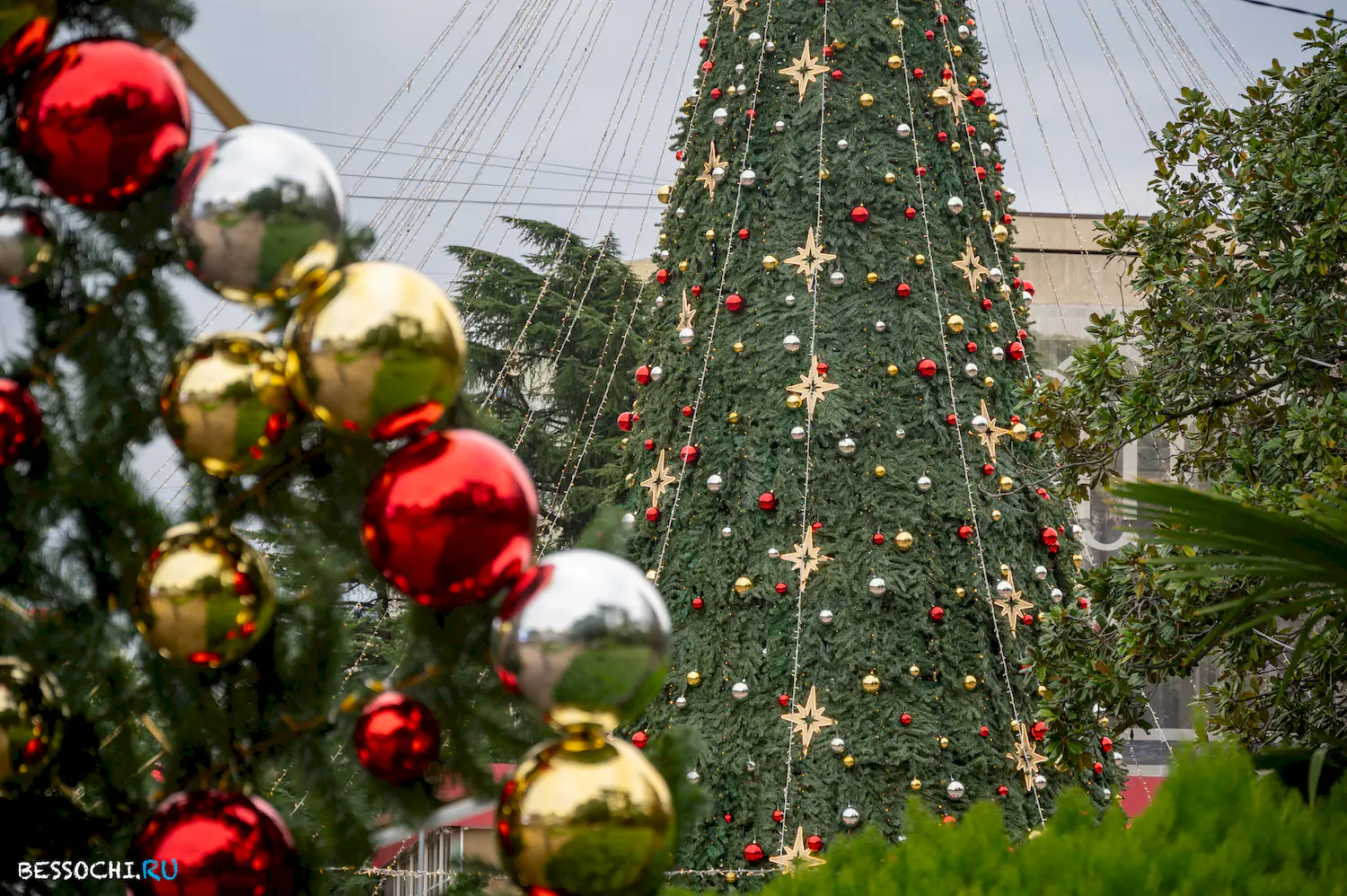 Новый год Сочи 2024