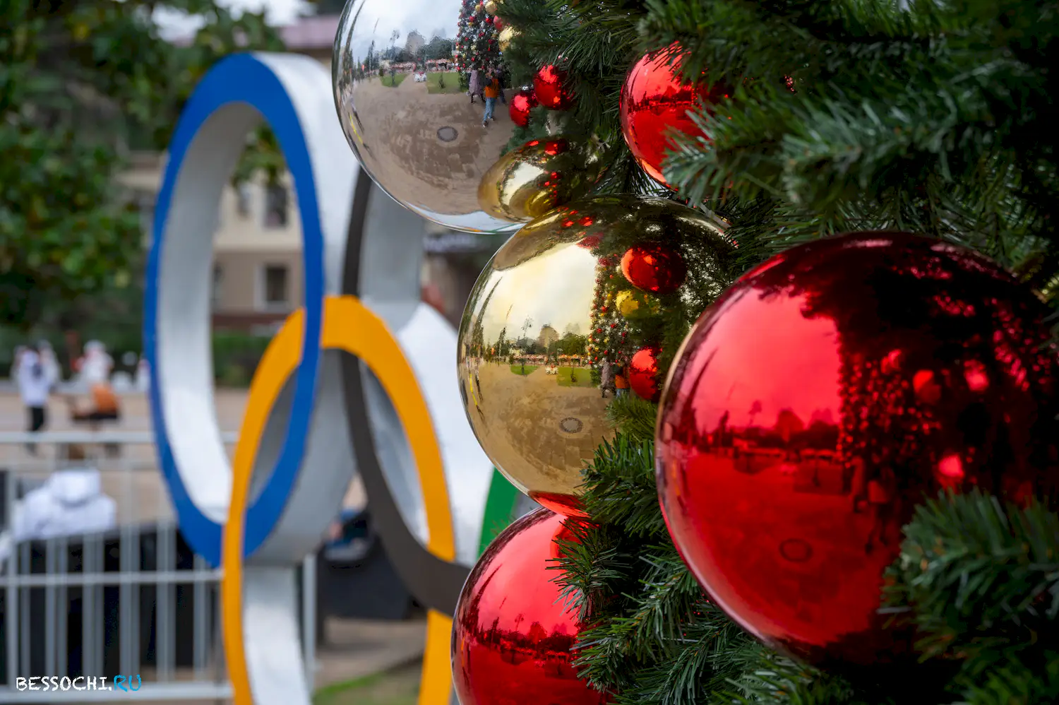 Новый год Сочи 2024