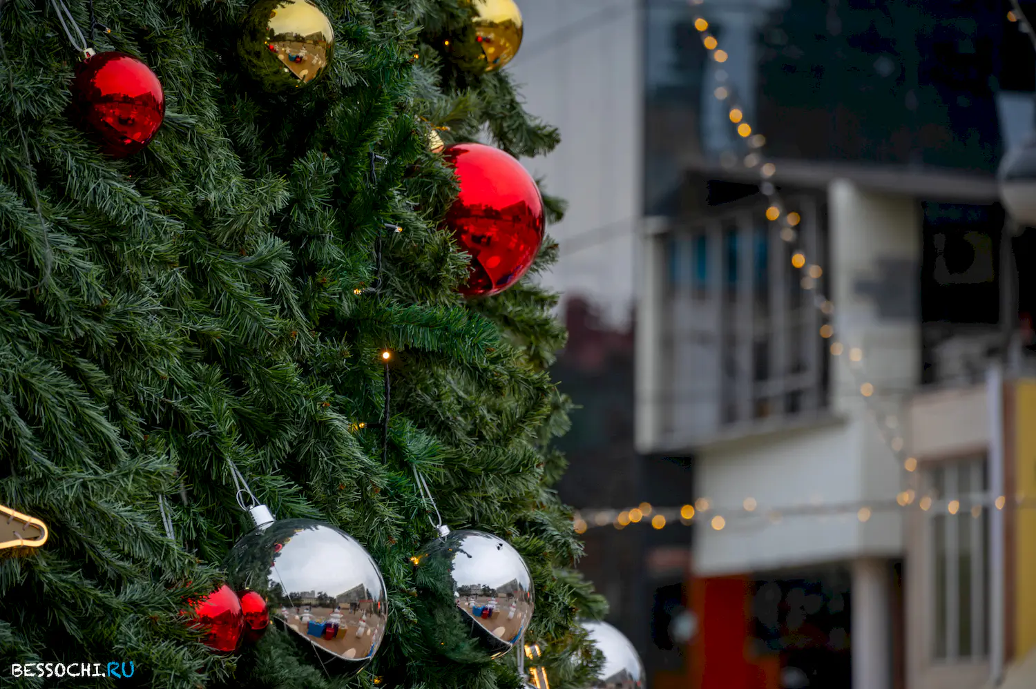 Новый год Сочи 2024