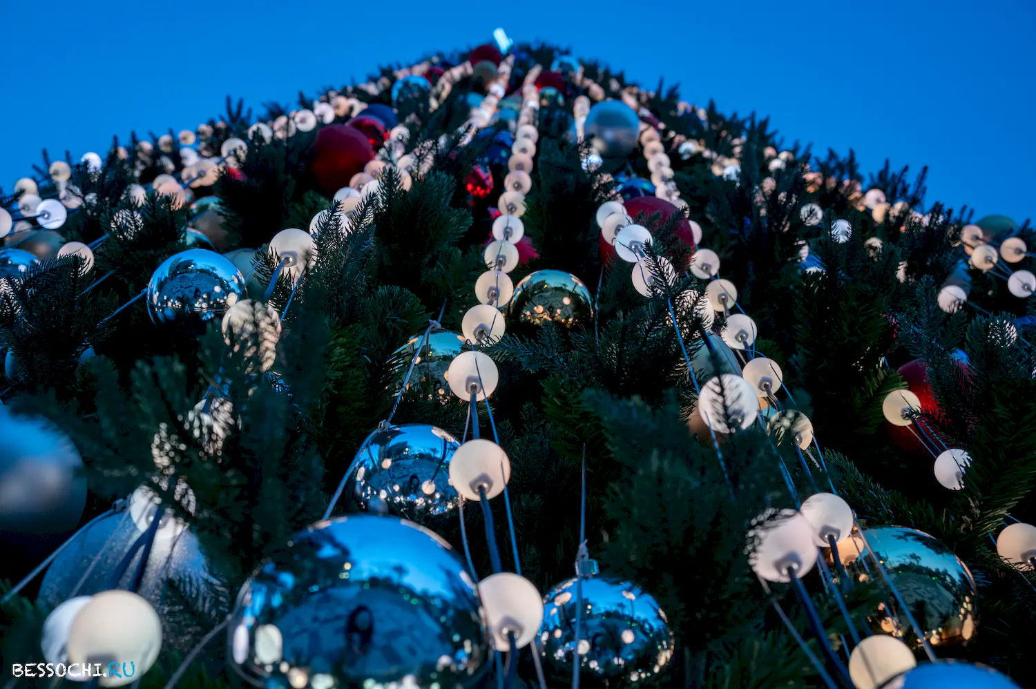 Новый год Сочи 2024