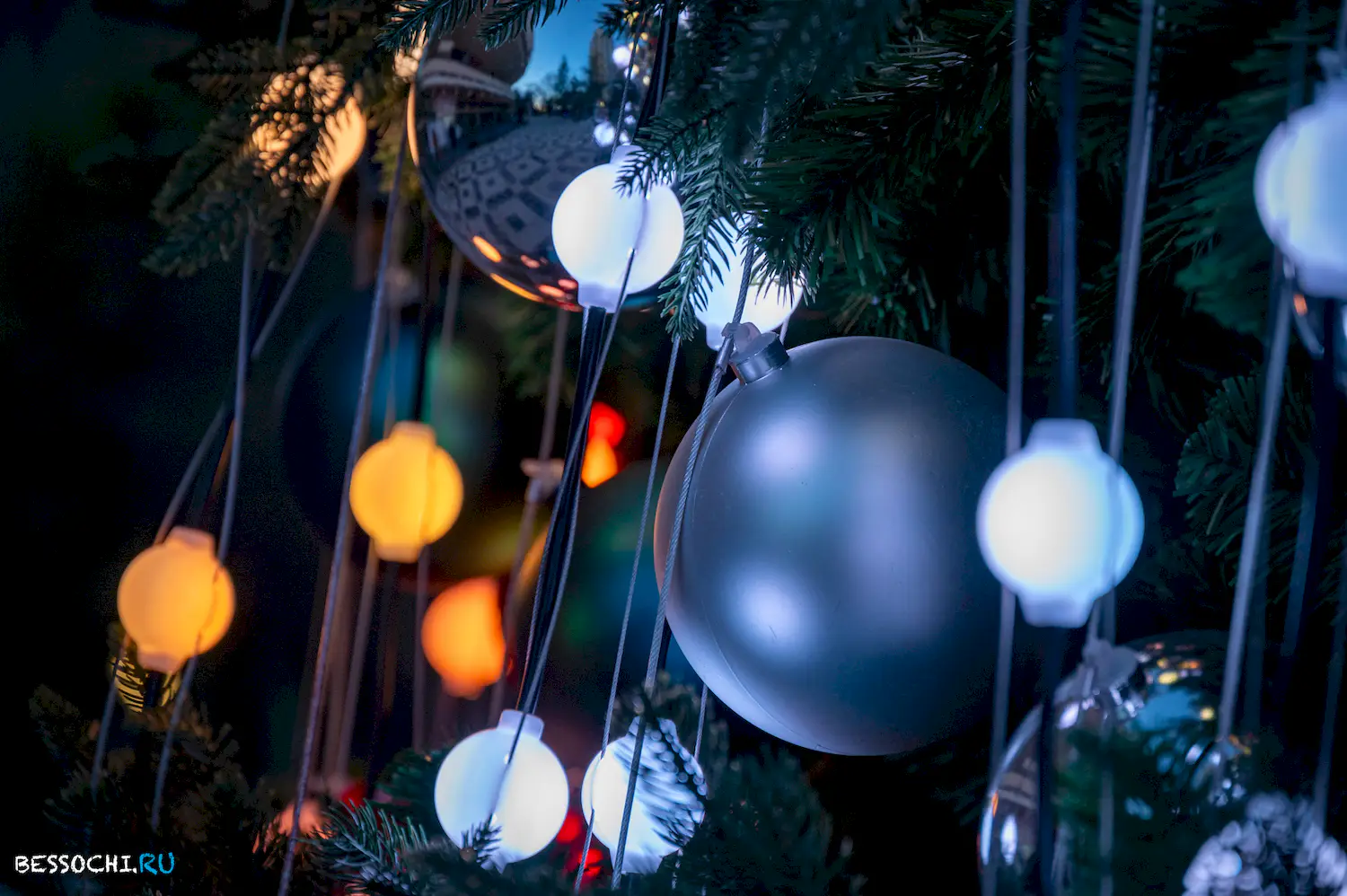 Новый год Сочи 2024