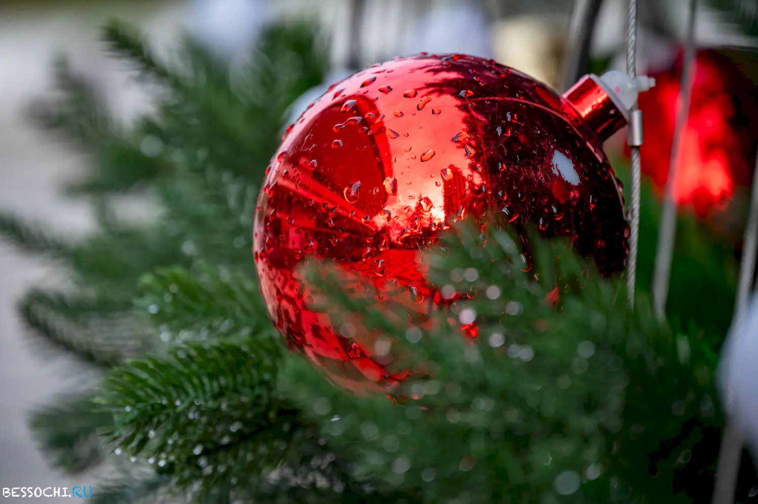 Новый год Сочи 2024