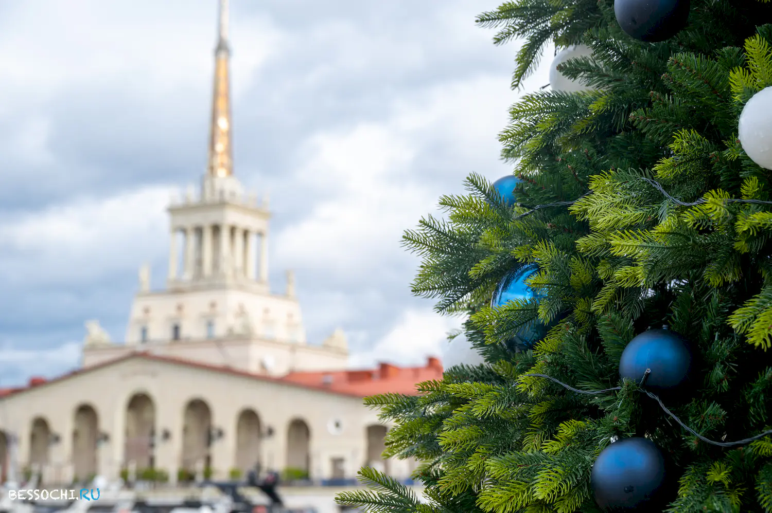 Новый год Сочи 2024