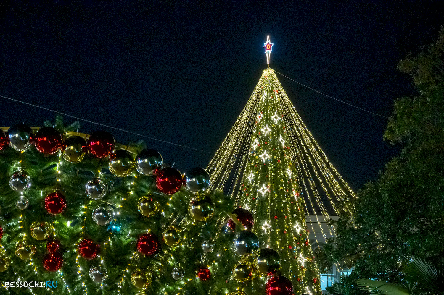 Новый год Сочи 2024