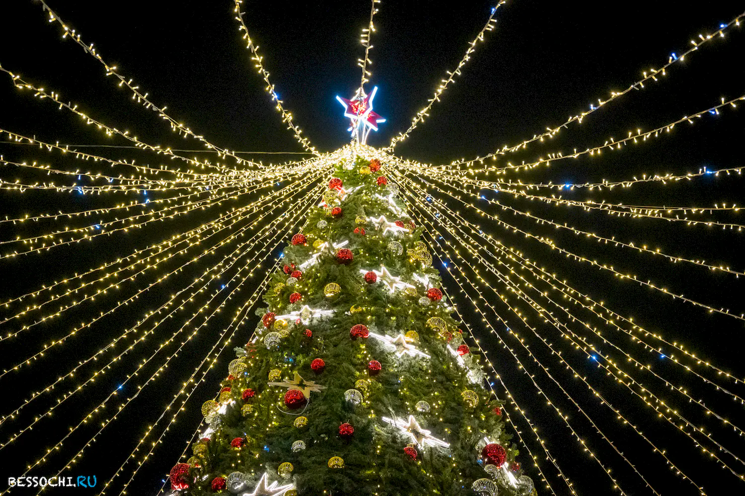 Новый год Сочи 2024