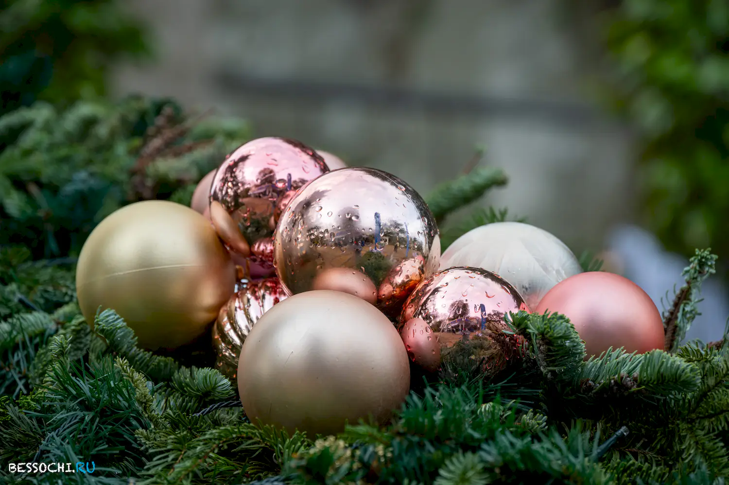 Новый год Сочи 2024