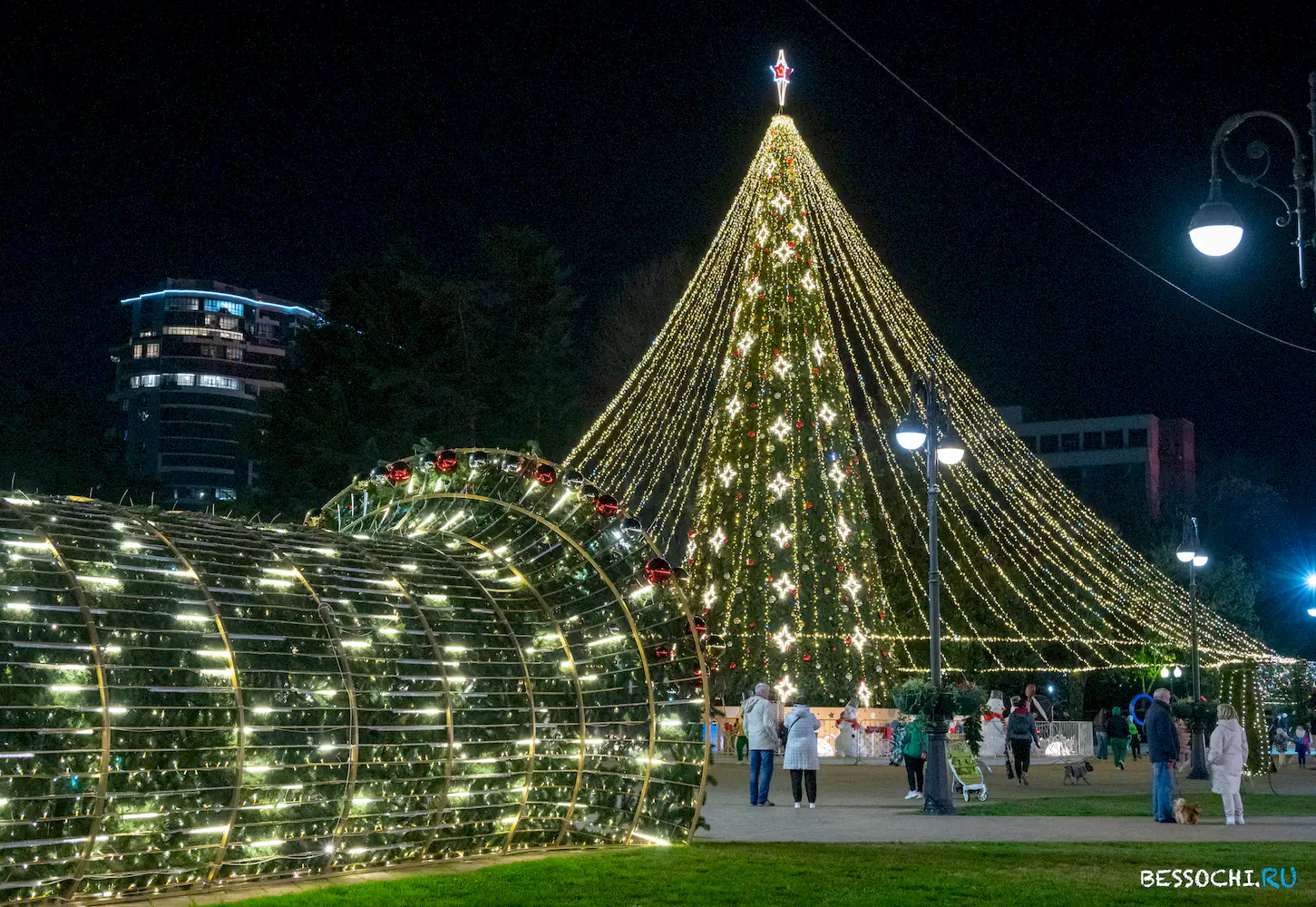 Новый год Сочи 2024