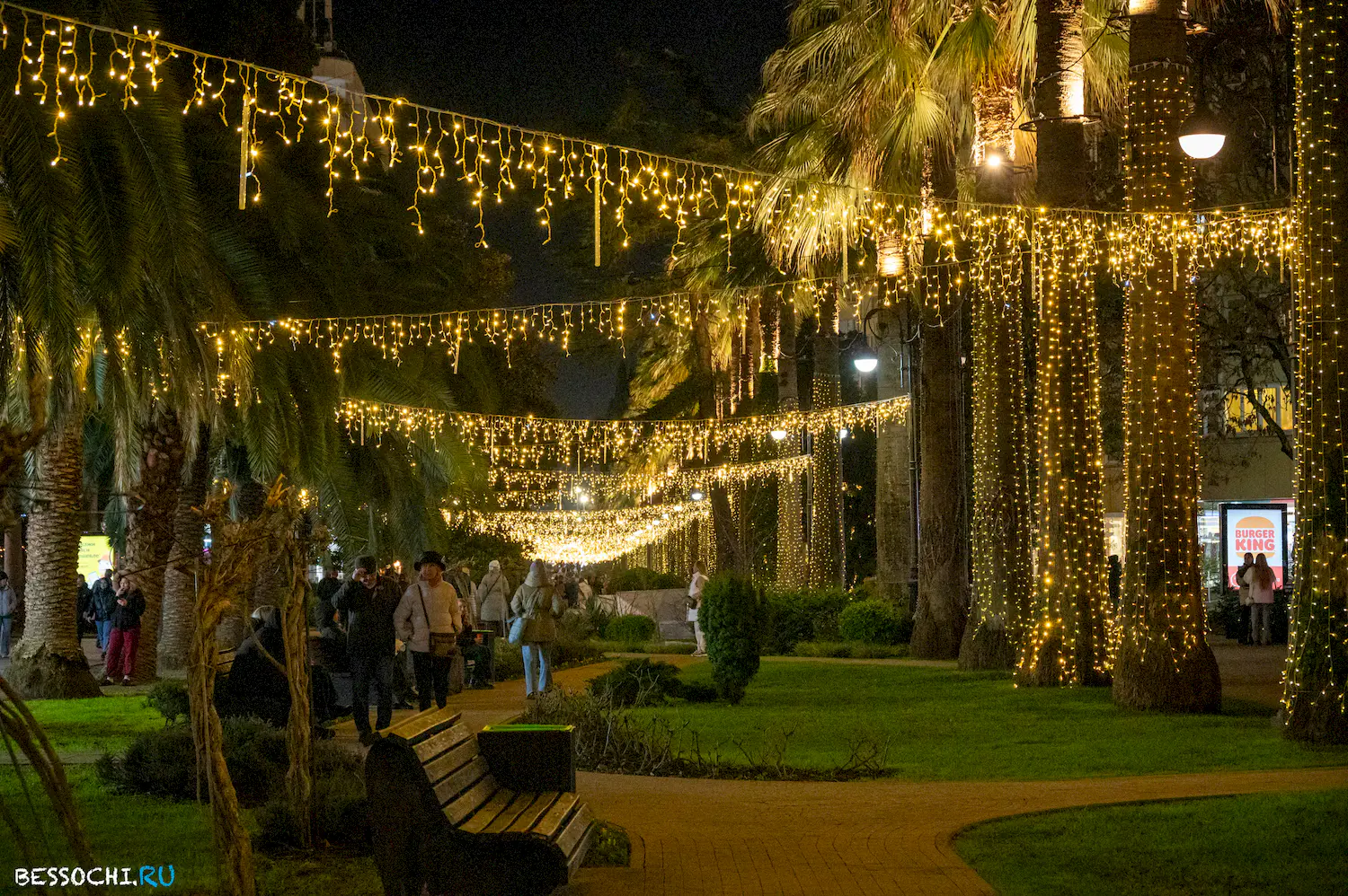 Новый год Сочи 2024